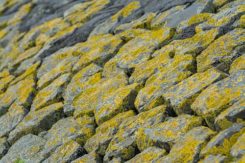 Stone slope at Moddergat dike in Friesland (The Netherlands)