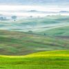 Een landschapsfoto van de mistige groene heuvels van Toscane in  van Bas Meelker