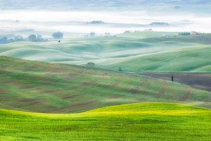 Eine Landschaftsaufnahme der nebligen grünen Hügel der Toskana in