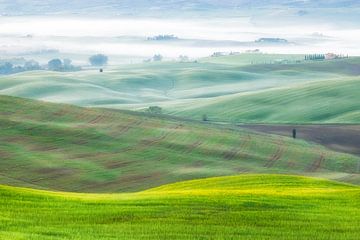 Een landschapsfoto van de mistige groene heuvels van Toscane in  van Bas Meelker