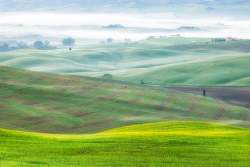 A landscape shot of the misty green hills of Tuscany in by Bas Meelker
