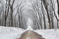 Winter laan van Cor de Hamer thumbnail