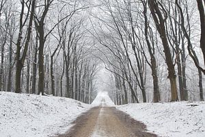 Winter laan