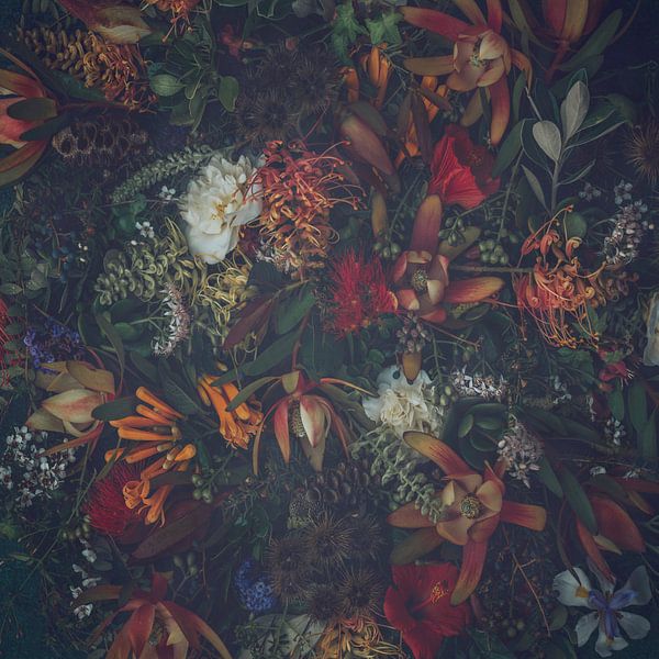 Pandora's box by Marina de Wit