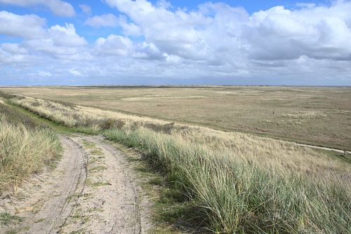 L'arrière-pays de Terschelling