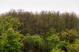 groener dan groen by jada fotografie