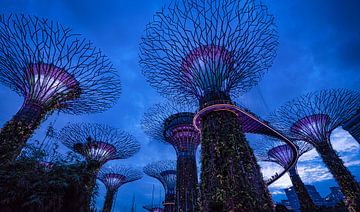 Gardens by the bay, Singapore