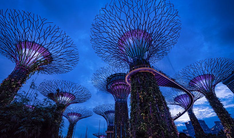 Gardens by the bay, Singapore von Rietje Bulthuis
