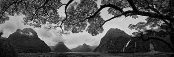 Milford Sound
