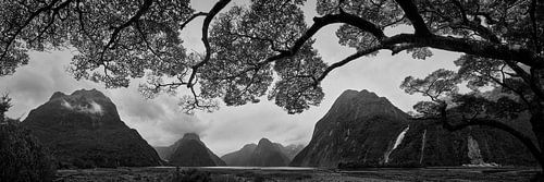 Milford Sound