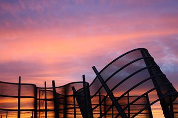 Sunset with the Wind Screen. 