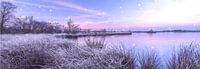 Pastel zonsopkomst