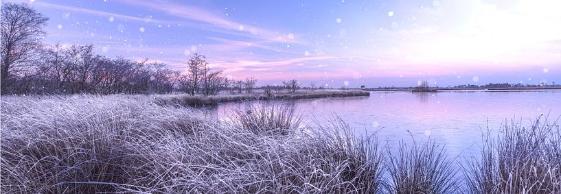 Pastel zonsopkomst by Bjorn Dockx