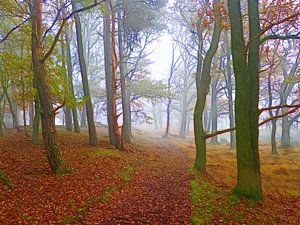 Follow me... (Pfad im Wald)
