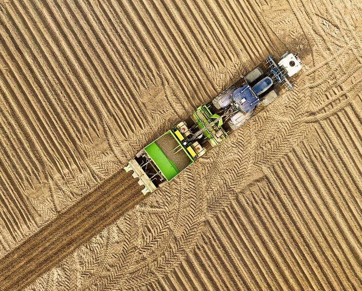 Landwirtschaft im Hoeksche Waard von Vivo Fotografie