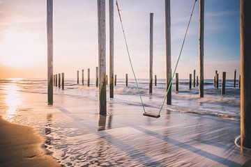 Strand van Petten van Thomas Paardekooper