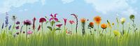 Cueillir le jardin