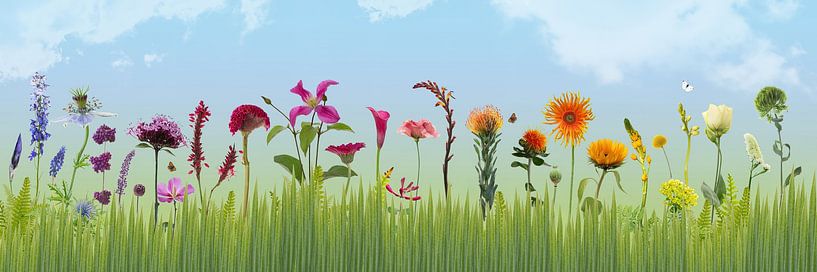 Cueillir le jardin par Klaartje Majoor