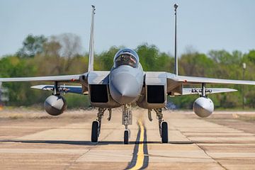 Bayou Militia McDonnell Douglas F-15C Eagle. van Jaap van den Berg