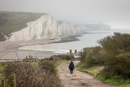 Pad naar de krijtrotsen van de Seven Sisters Engeland