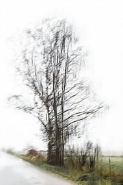 Automne sur Ingrid Van Damme fotografie