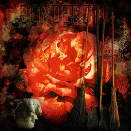 Roses Color the Week, Thursday by Helga Blanke