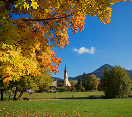 Dreamy autumnal scenery at the Schliersee tourist resort. Maple trees w by SusaZoom
