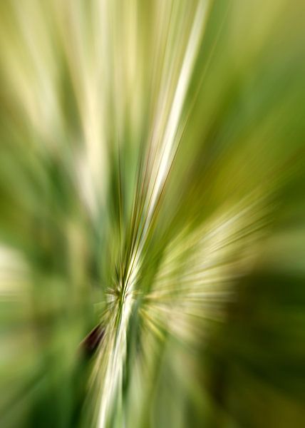Feelings Green by Katja Waltmans