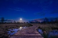 Netherlands at night