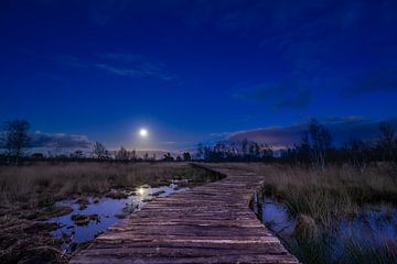 Nederland in de nacht van Jeroen Mikkers