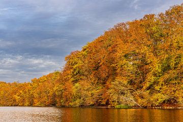 Vue sur le lac Schmaler Luzin et les Feldberge en automne sur Rico Ködder