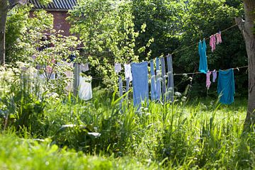 Charmes van het platteland, waslijn von Marit Nynke Anker