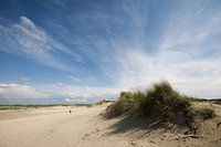 Slufter-Texel