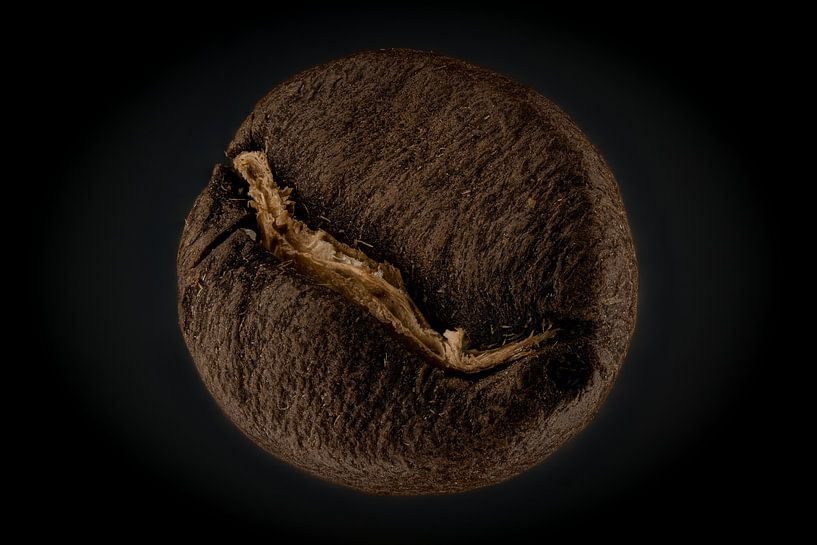 Grains de café par Jordi Gerla