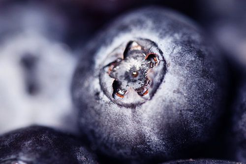 Close-up of a blueberry