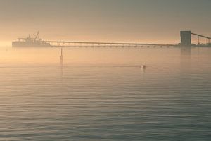 Sunrise in the harbour by Stefan Verheij