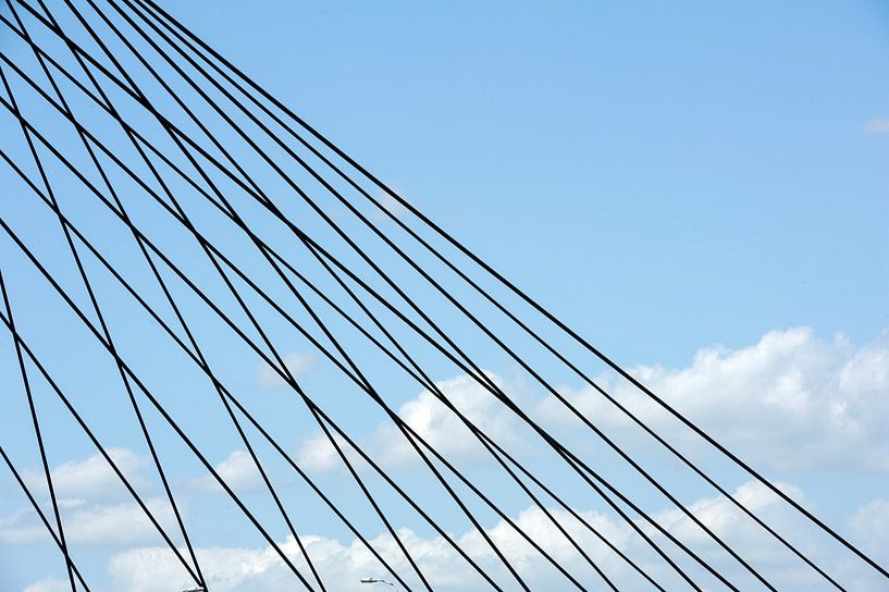 Heusden Bridge by Richard Wareham