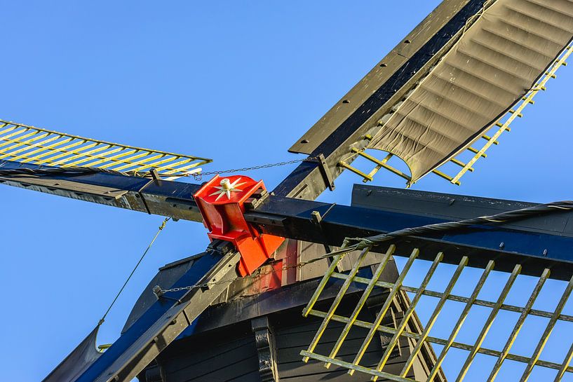 Rot gefärbter Aschekopf einer Poltermühle von Ruud Morijn