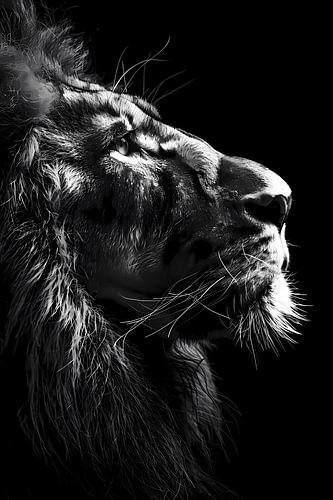 Majesty en noir et blanc