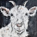 Chèvre par Christin Lamade Aperçu