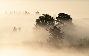 Mist en zon.... van Peter Korevaar