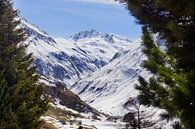 Bergen in Zwitserland bedekt met sneeuw van Malissa Verhoef thumbnail