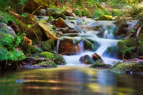 Kleine waterval in het bos met mos op stenen