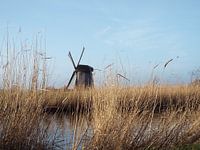 Molen te Schermerhorn 