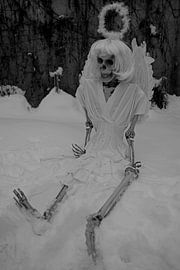 Last angel skeleton of an angel in white snow