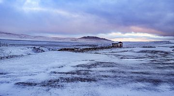 Hustain-Nuruu, Mongolei - I von Jarne Buttiens