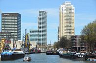 Rotterdam heeft vele gezichten  van Marcel van Duinen thumbnail
