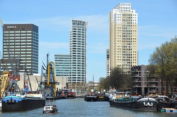 Rotterdam heeft vele gezichten 