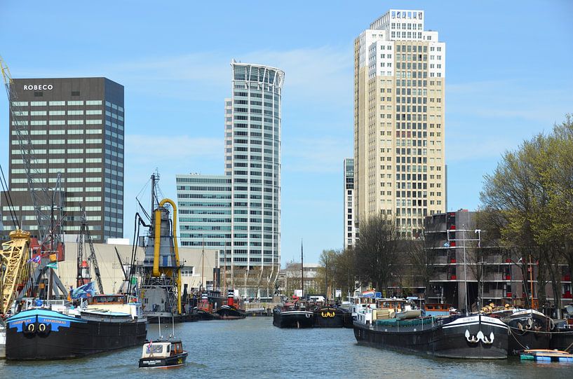Rotterdam heeft vele gezichten  von Marcel van Duinen