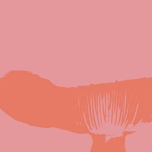 Spores in a fungus